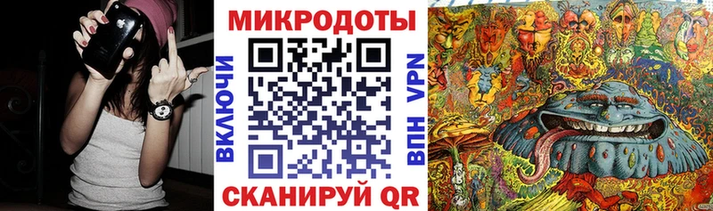 Купить где Куйбышев Галлюциногенные грибы Cubensis